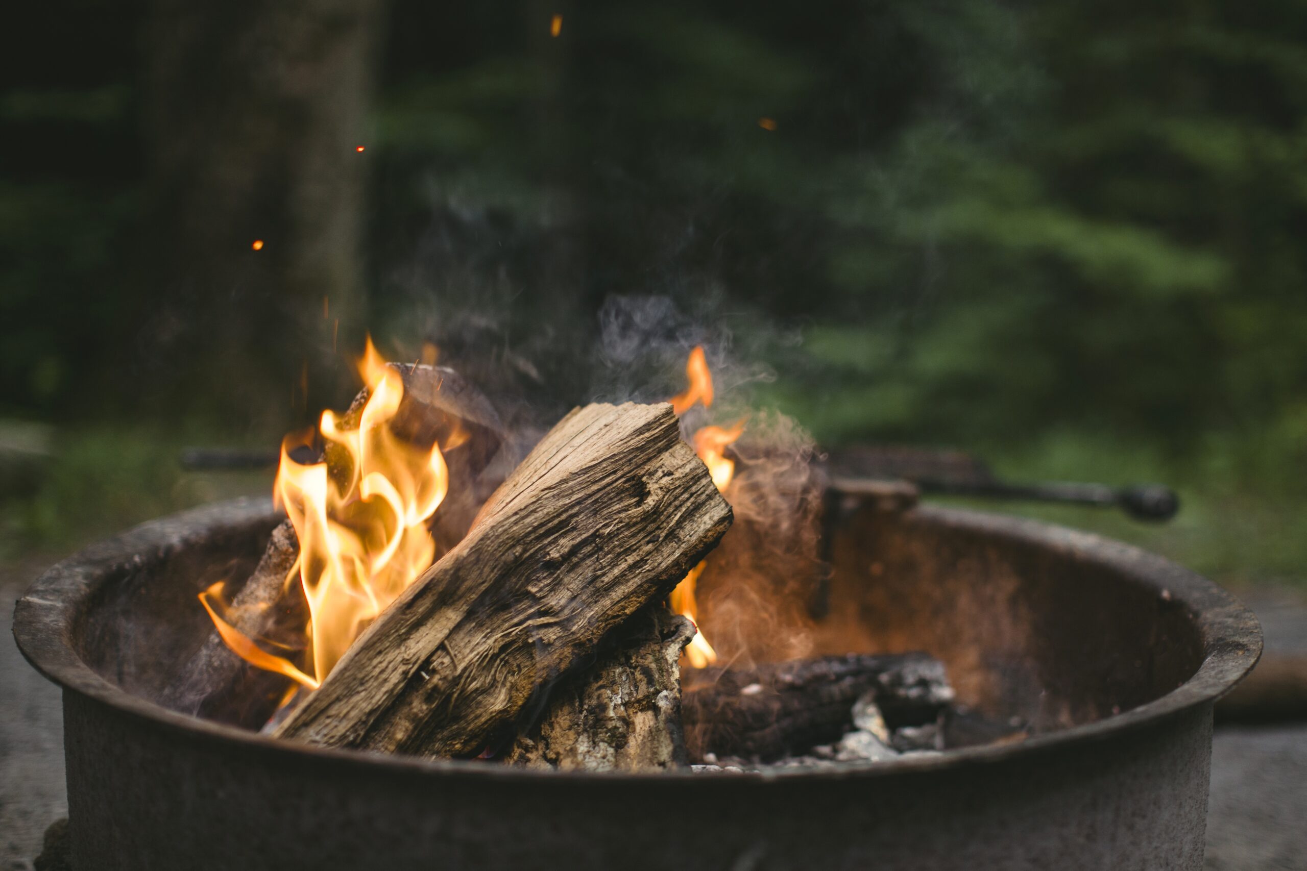 Vendita legna da ardere a Saronno - Consegna a domicilio
