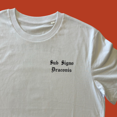 DRAGO RETRO DETT (2) | Fonderie Lamperti